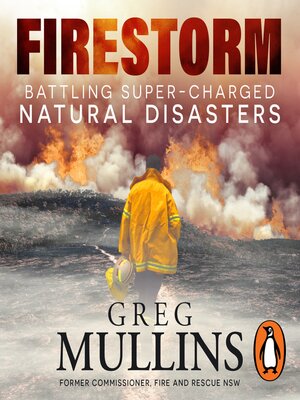 cover image of Firestorm